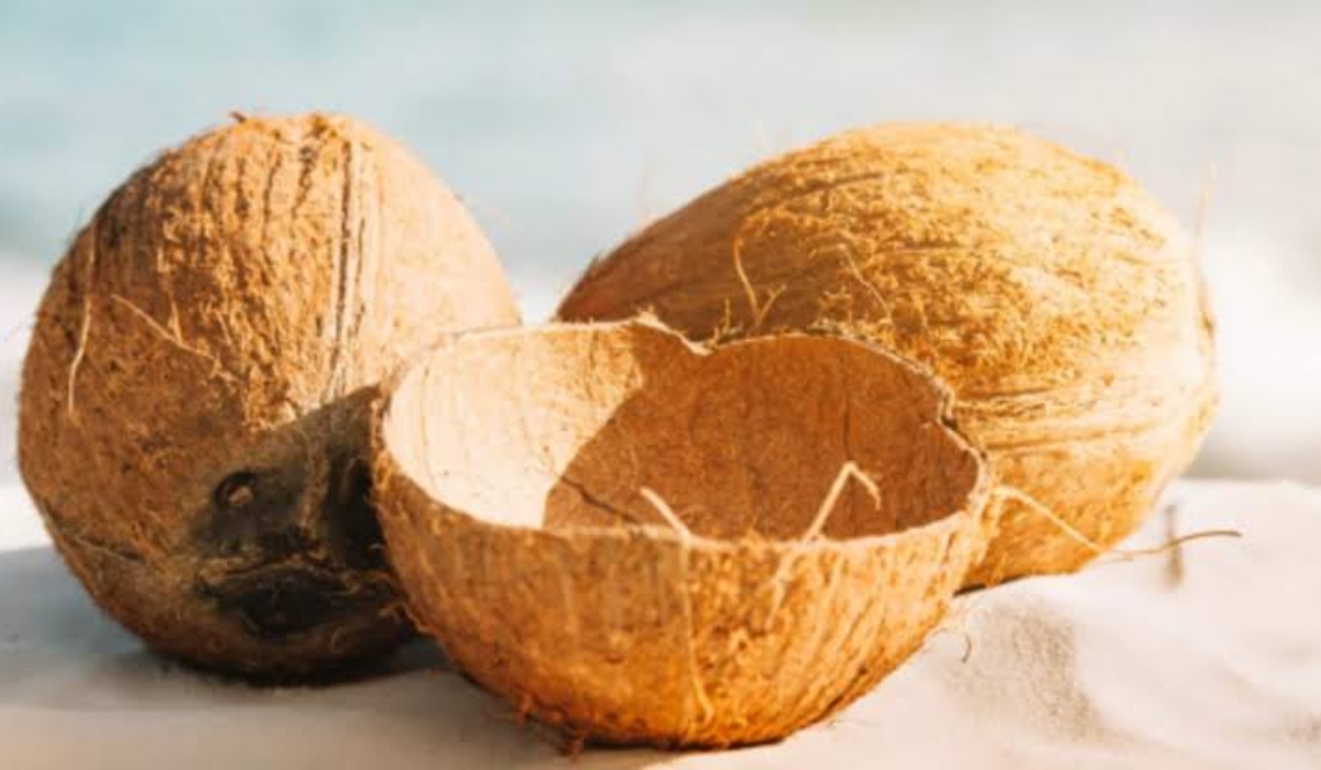 Before you throw away coconut shells, try these 7 clever garden ideas instead